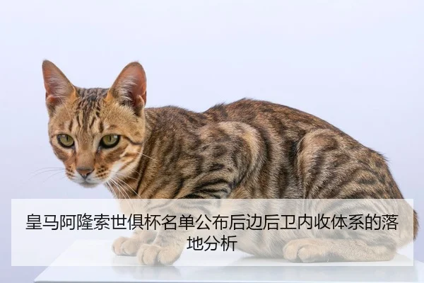 皇马阿隆索世俱杯名单公布后边后卫内收体系的落地分析