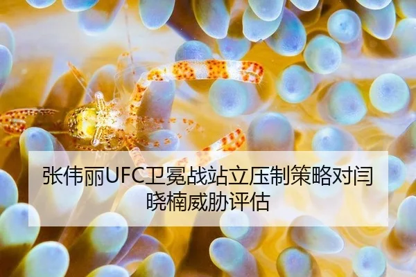 张伟丽UFC卫冕战站立压制策略对闫晓楠威胁评估